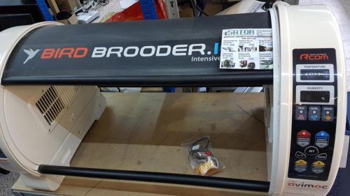 Reparar Bird Brooder no calienta