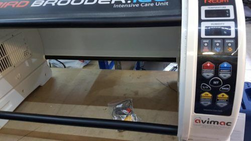 Reparar Bird Brooder no calienta